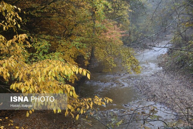 آغاز فعالیت سامانه بارشی در جنوب از امروز/ افزایش گستره بارش در روزهای آینده
