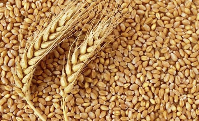  قدردانی مجلس از وزارت جهاد کشاورزی برای افزایش ۵۰ درصدی تامین امنیت غذایی