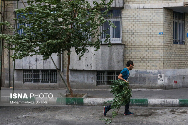وزش باد شدید در ۹ استان و هشدار به ناوگان حمل و نقلی