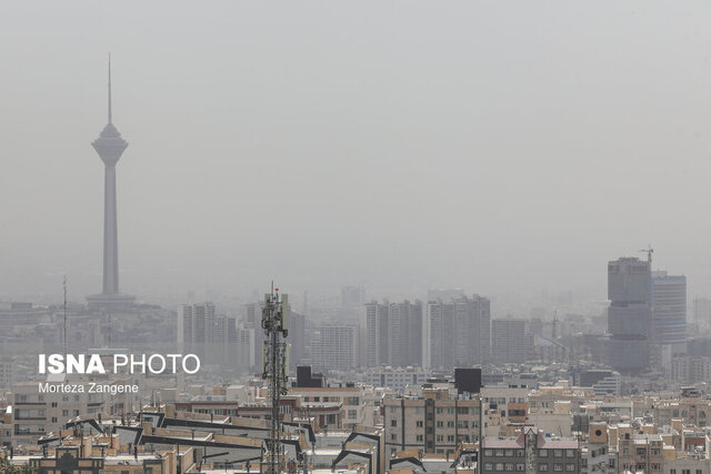 ذرات معلق هوای تهران شامل چه عناصری است؟