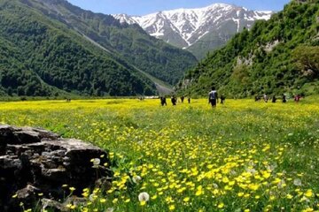 دشت دریاسر تنکابن در حسرت گردشگری مسئولانه