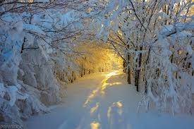  دیدی که چه بی رنگ و ریا بود زمستان ؟ مظلوم ترین فصل خدا بود زمستان دیدیم فقط سردی او را و ندیدیم از هر چه دو رنگی است رها بود زمستان