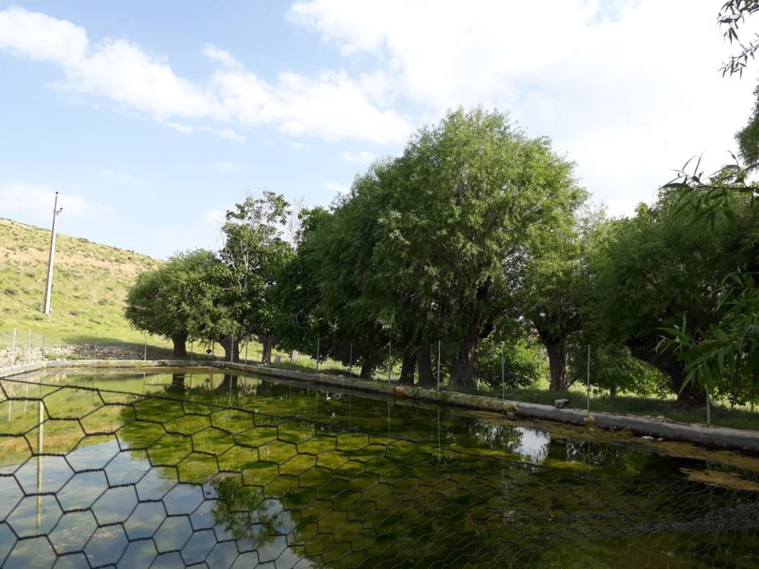 با سلام به دوستان ویاران عزیز طار
