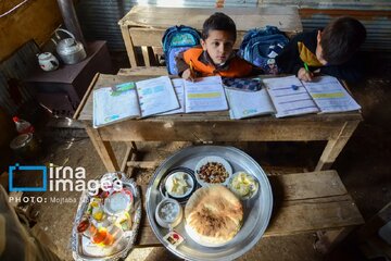 پنیر تالشی؛ عطر شیر و مه در میراث کوهستان‌های گیلان