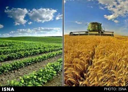 هشدار درباره سیاست‌های انرژی؛ تولید را فدای رفاه نکنیم