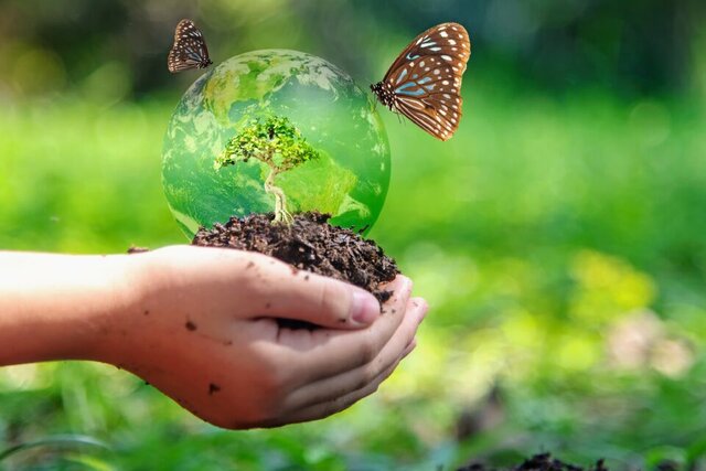 حفاظت از حیات‌وحش به تثبیت آب‌وهوا کمک می‌کند؟