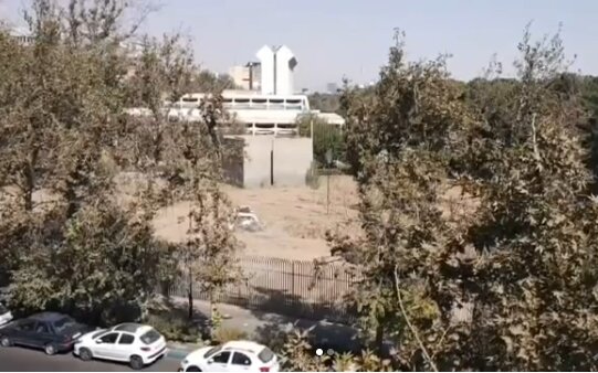 ماجرای قطع درختان موزه فرش