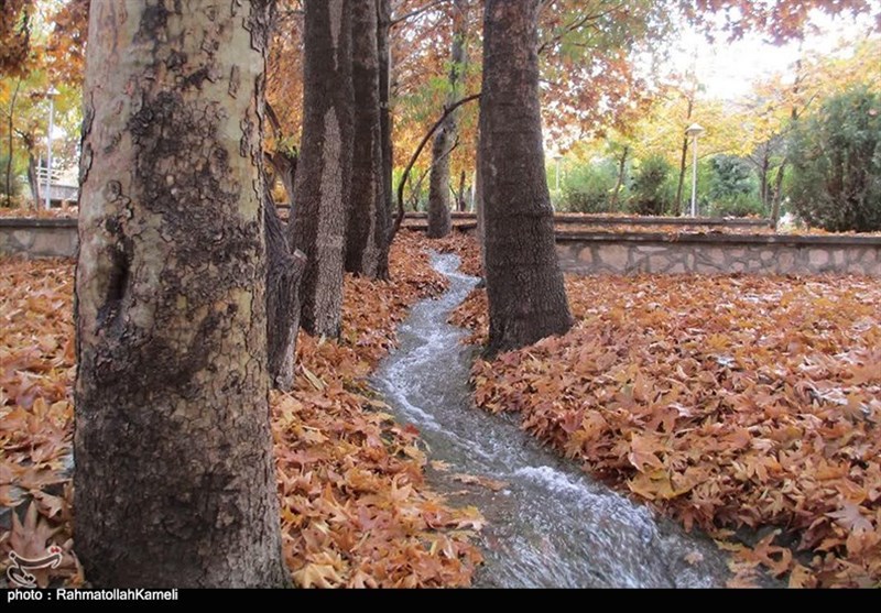 واکنش راه و شهرسازی کاشان به گزارش تسنیم؛ طرح جامع باغ‌شهر نطنز بازنگری می‌شود 