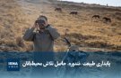  پایداری طبیعت «تندوره» حاصل تلاش محیط‌بانان