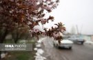 پیش‌بینی دما و بارش کشور تا اواخر خردادماه