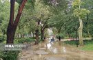 بارش برف و باران در شمال کشور از امروز تا پنجشنبه 