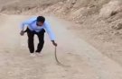 یگان محیط زیست به دنبال حیوان آزار اینستاگرامی/ شکایت به پلیس فتا