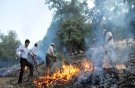  490هکتار از جنگل و مراتع لرستان طعمه حریق شد