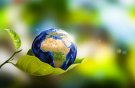 «سیاره در مقابل پلاستیک»، شعار روز زمین؛ بازیافت و مصرف اصولی را بیاموزیم