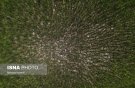 چهار ماه مانده به پایان سال آبی؛ مواجهه هرمزگان و سیستان و بلوچستان با کاهش حدود ۷۵ درصدی بارش