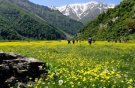 دشت دریاسر تنکابن در حسرت گردشگری مسئولانه