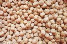 ای ممنوعیت صادرات دوباره به جان «نخود» افتاد