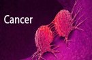 30 تا ۵۰ درصد سرطان‌ها قابل پیشگیری است / مردم به پیشگیری توجه کنند