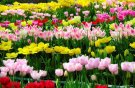 اشک پنهان ... سروده اقای حمید کریمی