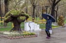 بارش باران در برخی مناطق کشور