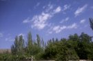 باسلام به دوستان محترم شعر نطنزیم سروده اقای حمید کریمی