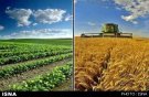 هشدار درباره سیاست‌های انرژی؛ تولید را فدای رفاه نکنیم