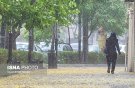 رگبار باران در شمال کشور/ وزش باد شدید در برخی نقاط