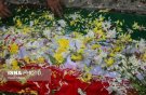 تمامی دستگاه‌های اجرایی تهران فردا تعطیل شد