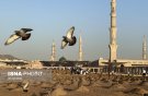 آخرین وضعیت قبرستان بقیع 