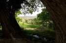 باسلام به دوستان و یاران همراه جلسه هماهنگی وهم اندیشی  هیئت مدیره شرکت یاران طار با هیئت امنای محترم باباعبدالله درتاریخ 1405/3/15درروستای زیبای طار