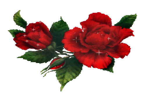  میانگین نرخ ارز در صرافی های مجاز ( سنا ) آخرین تغییرات تا ١٤٠٠/١١/٢٨