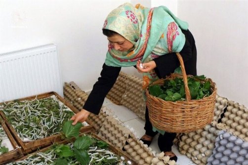 مهم‌ترین مشکل صاحبان مشاغل خانگی چیست؟