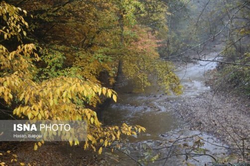 آغاز فعالیت سامانه بارشی در جنوب از امروز/ افزایش گستره بارش در روزهای آینده