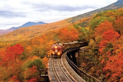 فاطمی: گردشگری ریلی در دولت چهاردهم رو به رشد است/تلاش برای دستیابی به بازارهای بین‌المللی
