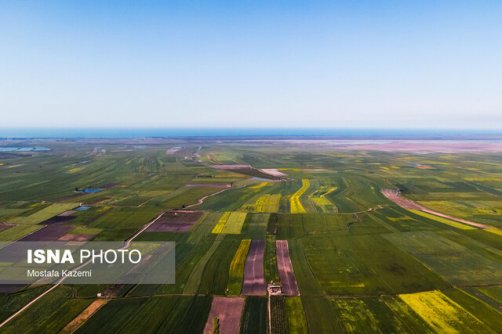 8408 میلیون هکتار اراضی مرتعی داریم/ تدوین طرح مردمی‌سازی مدیریت مراتع