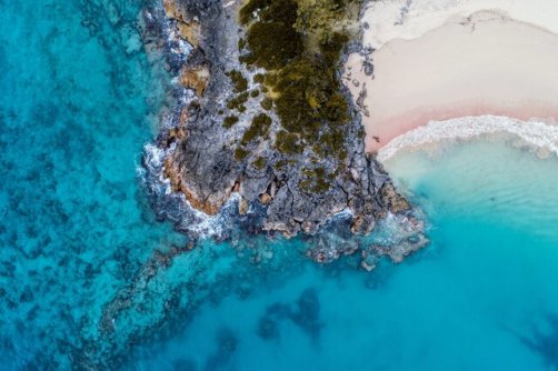 تصویر سلامت اقیانوس‌ها تاریک شد