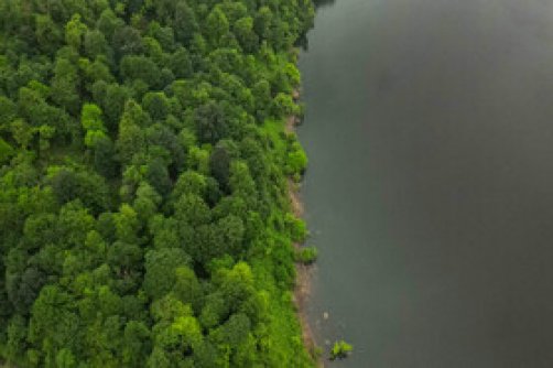 طبیعت بهاری «سیاهکل»