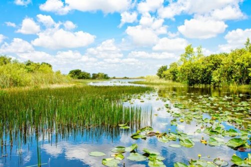 تالاب‌ها سلاح قدرتمند مبارزه با گرمایش زمین