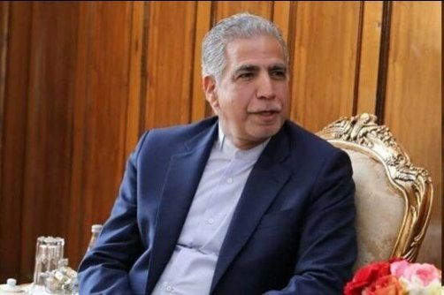 نگرانی در مورد سلامت گوشت‌های وارداتی وجود ندارد/می‌توانیم دام زنده وارد کنیم