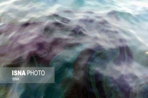  مدیرکل محیط زیست استان بوشهر: آلودگی نفتی سکوی فروزان در حال پاکسازی است