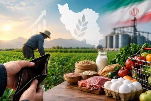 تاب‌آوری در امنیت غذا به معنای تحمل گرسنگی نیست/چرا ظرفیت علمی به کمک امنیت غذایی نمی‌آید؟ 