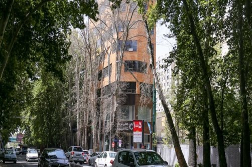 جریمه قطع درختان چه می‌شود؟/قبل از انقلاب چند پارک در تهران بود؟ 