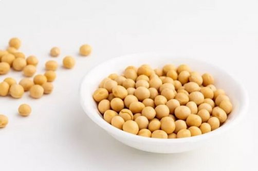 یک پروتئین گیاهی؛ از خواص و فرآورده‌های متنوع تا موارد احتیاط