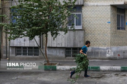 وزش باد شدید در ۹ استان و هشدار به ناوگان حمل و نقلی