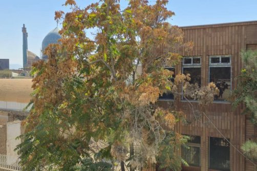 بدعتی که سر «میدان نقش جهان» را بر باد می‌دهد