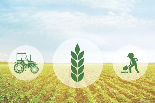 کشاورزی پرریسک نیست، ما فقط بلد نیستیم برایش طرح بنویسیم!