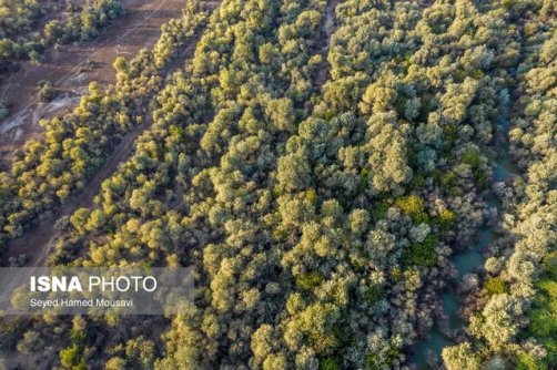 اراضی تصرف‌شده منطقه «دز» به طبیعت بازمی‌گردد