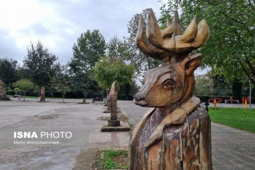 رد پای پاییز در باغ تاریخی 