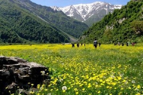 دشت دریاسر تنکابن در حسرت گردشگری مسئولانه