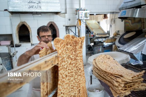 نان کامل؛ سلامتی از دل خاک تا سفره